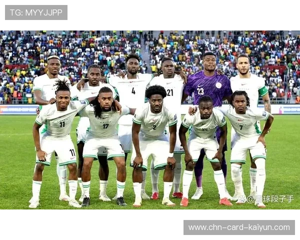 橄榄球世界杯：南非夺冠，球迷冲进球场