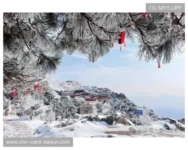 山东泰山一记斜塞刺入禁区深处,险些得手 山东泰山一记斜塞刺入禁区深处,险些得手