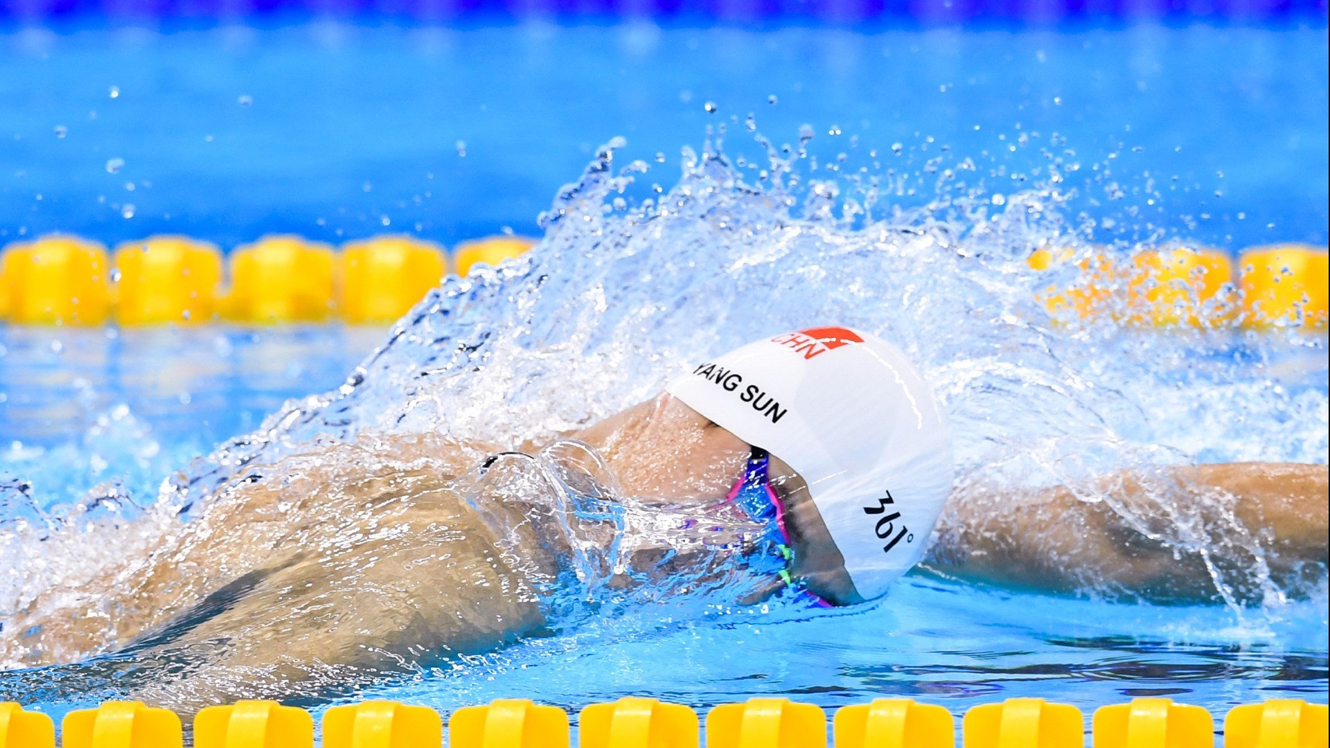 “城市流浪动物公益跑” 报名费部分用于救助行动