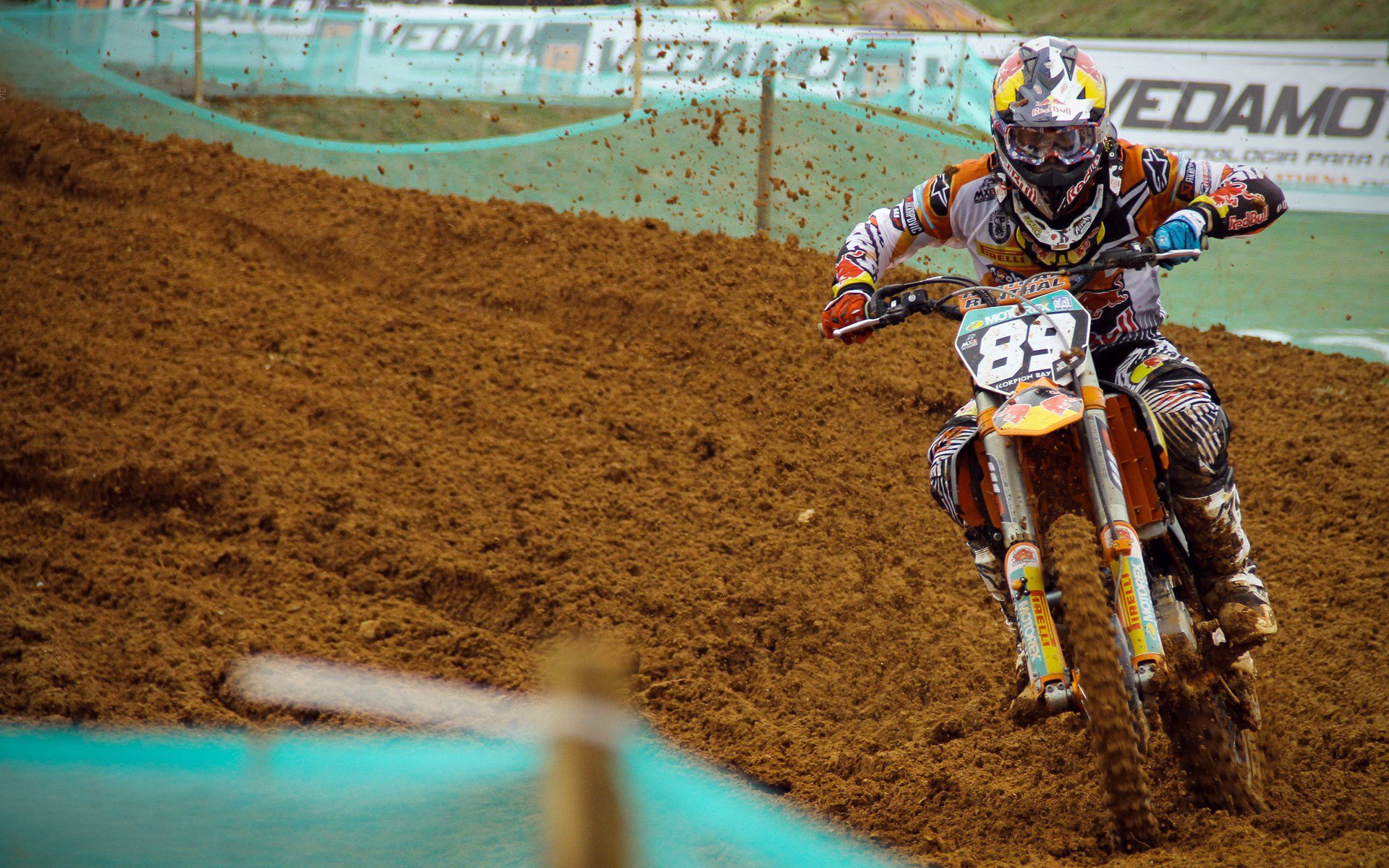 世界杯惨败后重组的国家队 在下届欧预赛中表现令人刮目